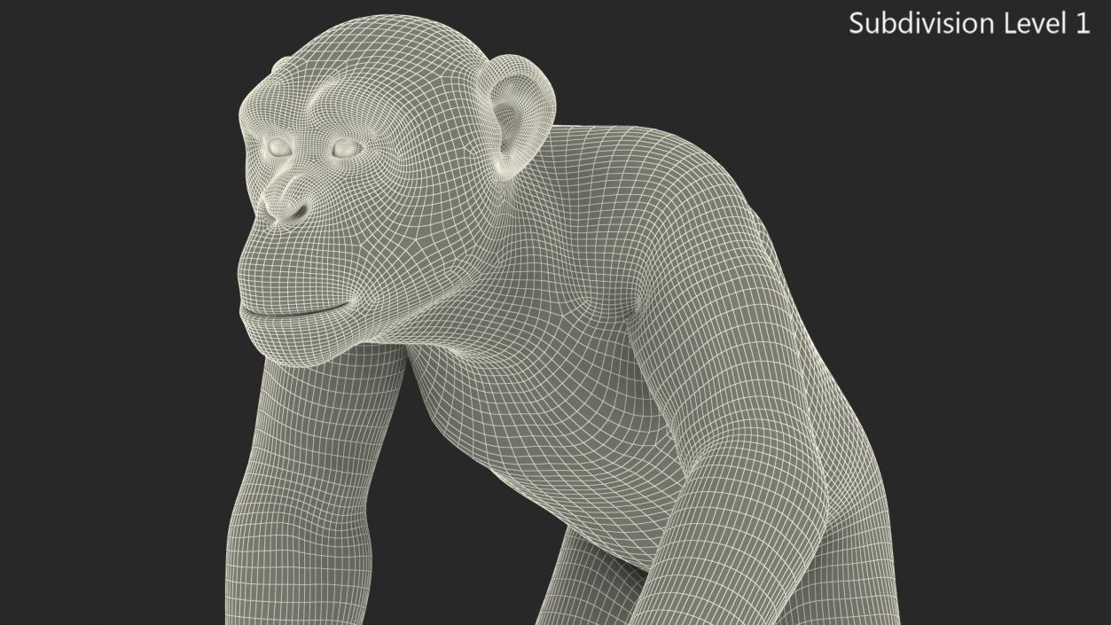 Walking Light Chimpanzee 3D model