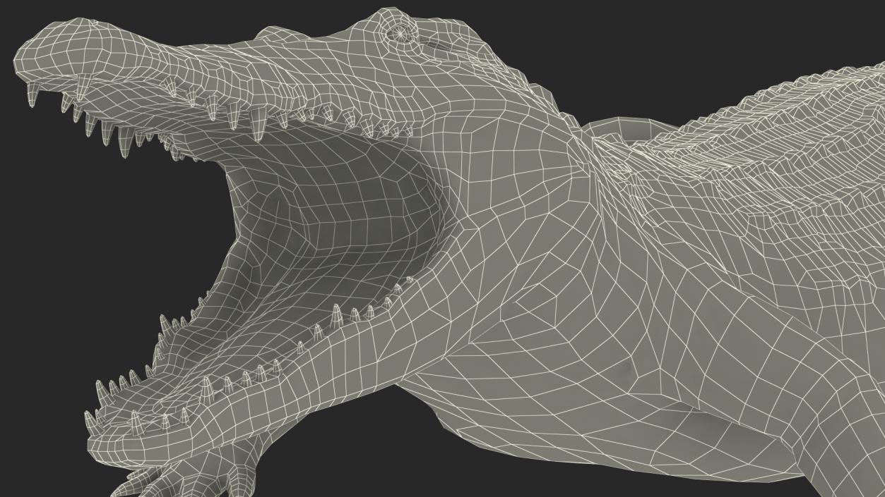 Animated Crocodile Eating Rigged 3D