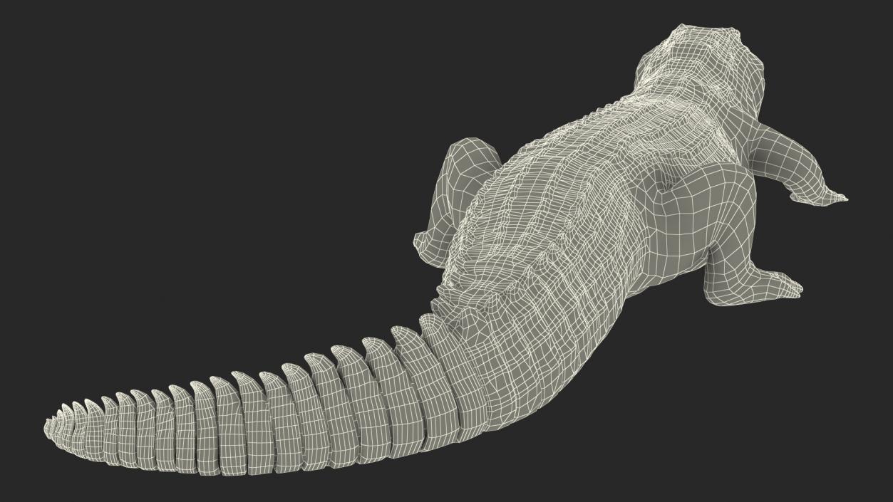 Animated Crocodile Eating Rigged 3D