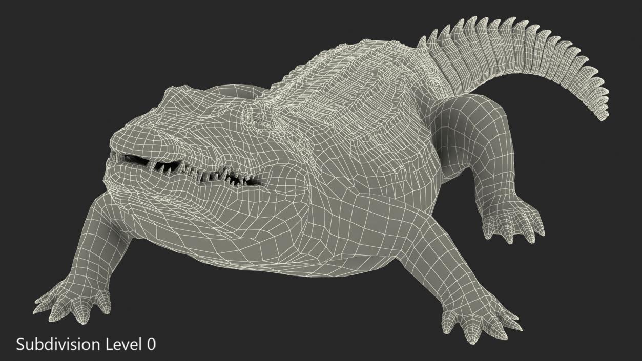 Animated Crocodile Eating Rigged 3D