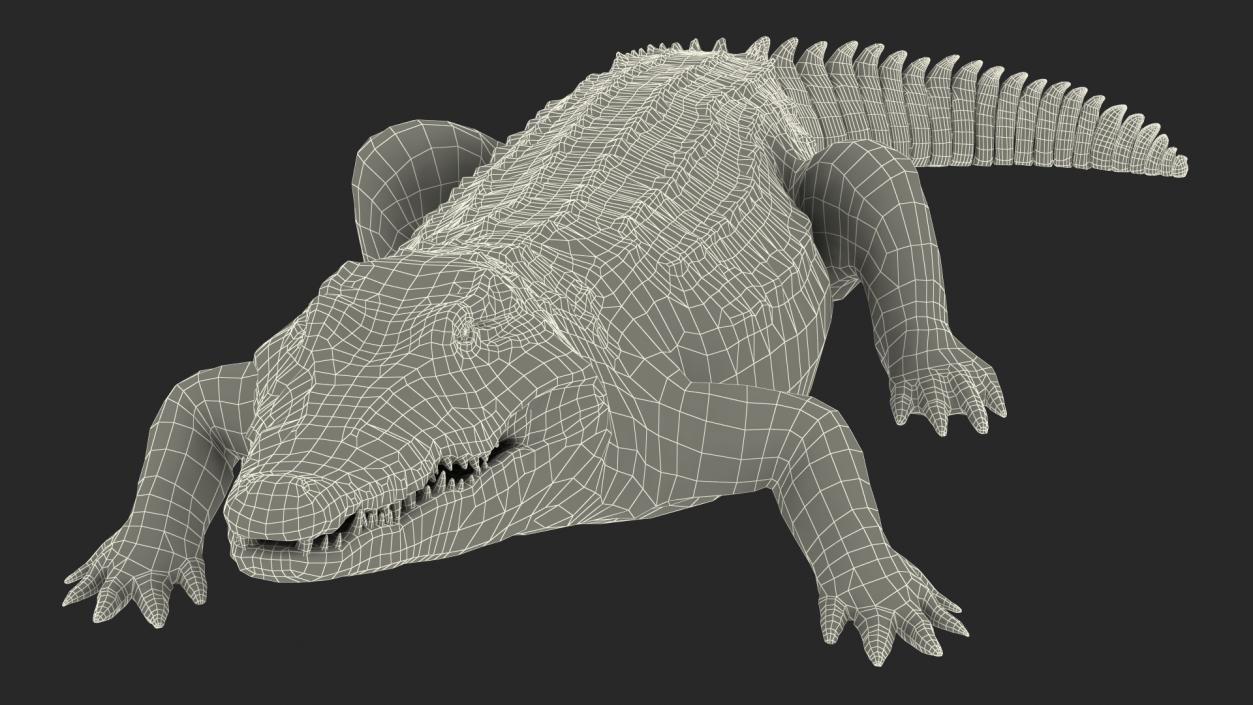 Animated Crocodile Eating Rigged 3D