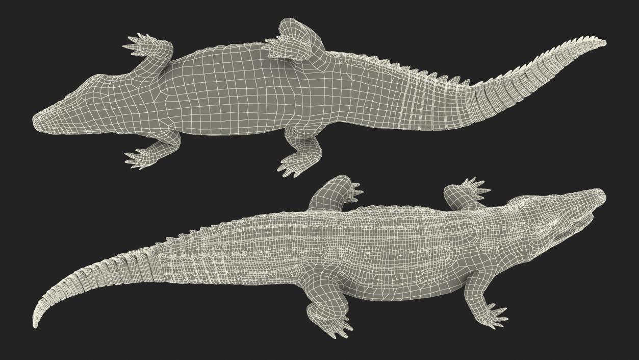 Animated Crocodile Eating Rigged 3D