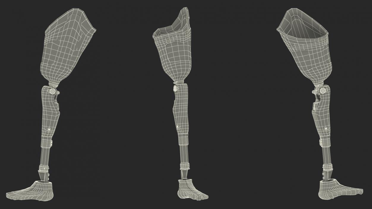 3D model Man with Prosthetic Leg Rigged