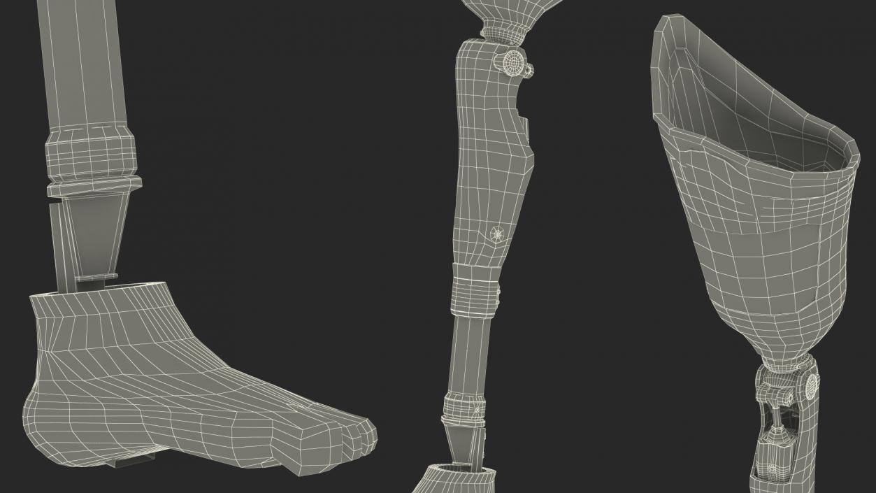 3D model Man with Prosthetic Leg Rigged