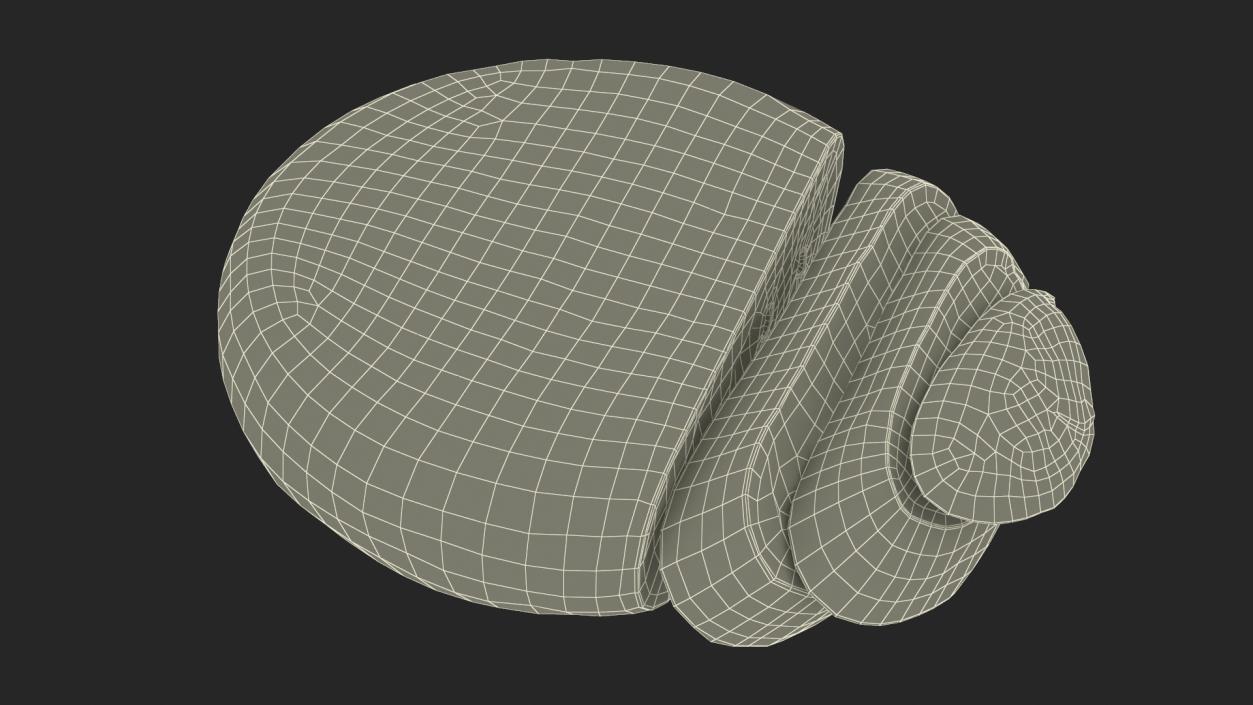 3D model Round Loaf of Bread with Sliced Pieces 2