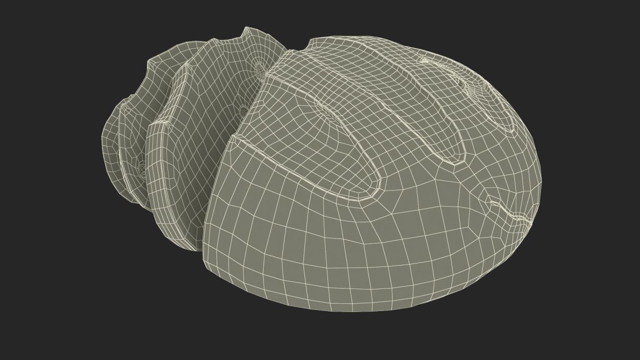 3D model Round Loaf of Bread with Sliced Pieces 2