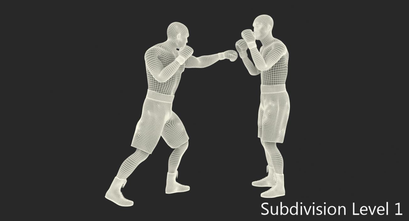 3D Two Boxers Fighting 2