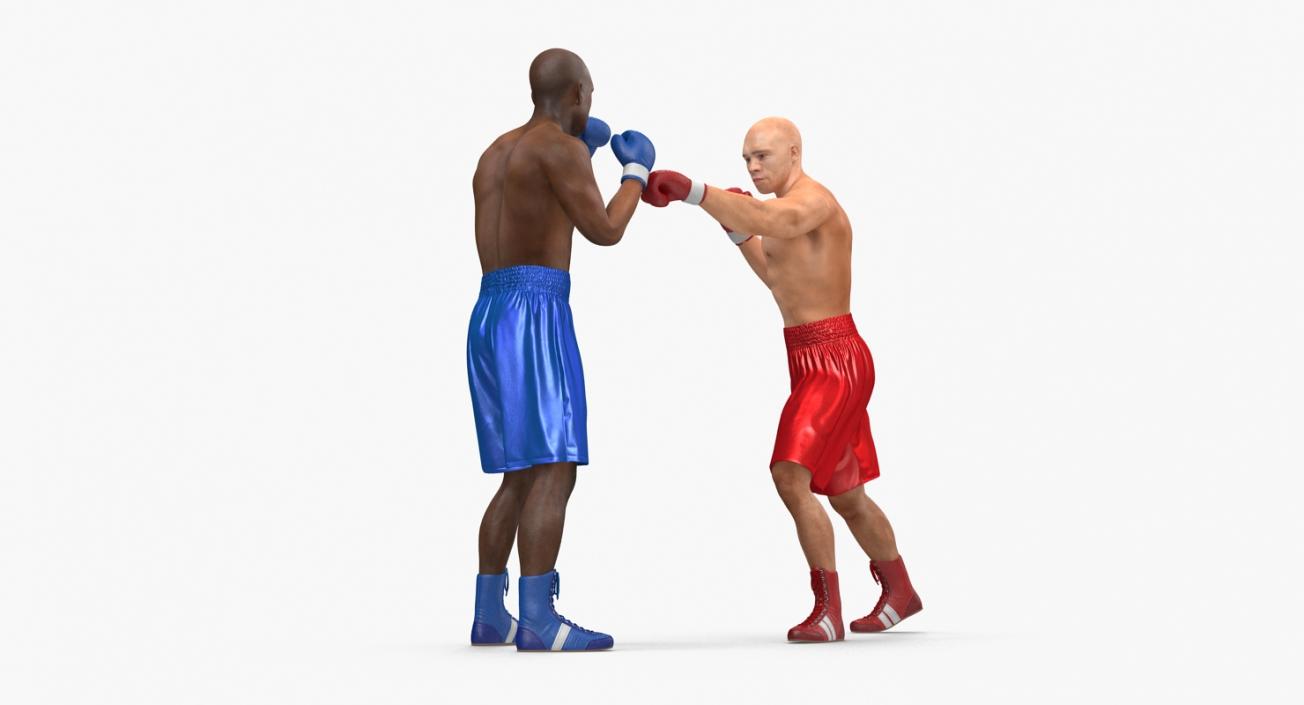 3D Two Boxers Fighting 2