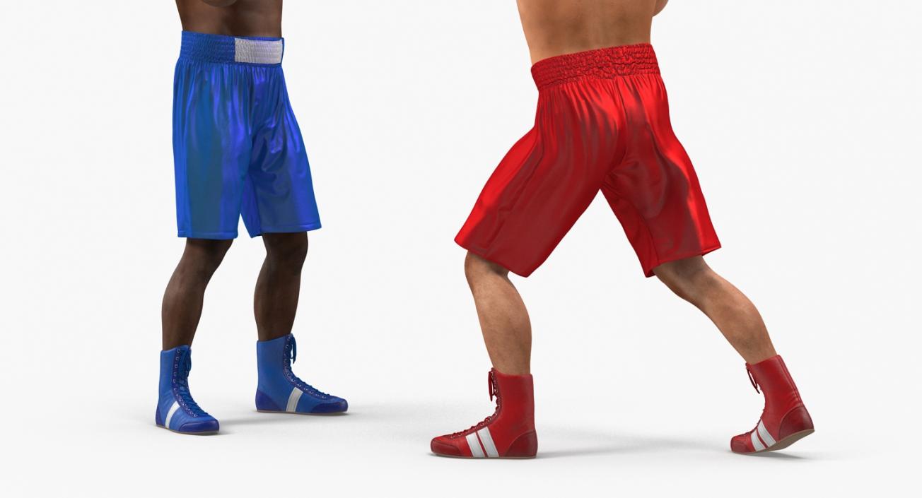 3D Two Boxers Fighting 2