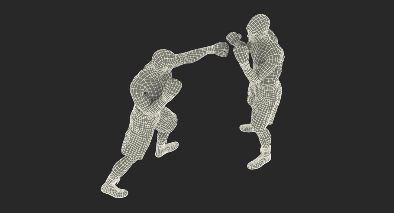 3D Two Boxers Fighting 2