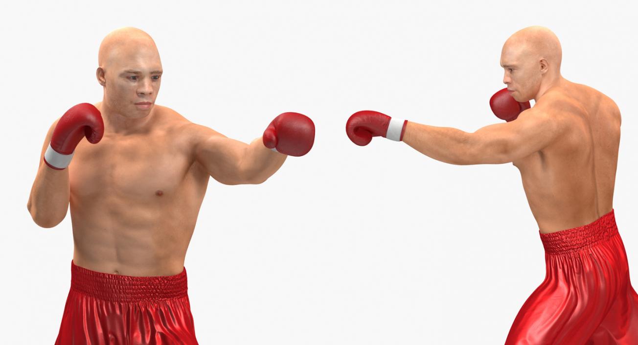 3D Two Boxers Fighting 2