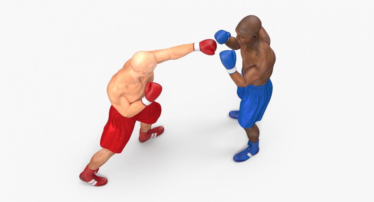 3D Two Boxers Fighting 2