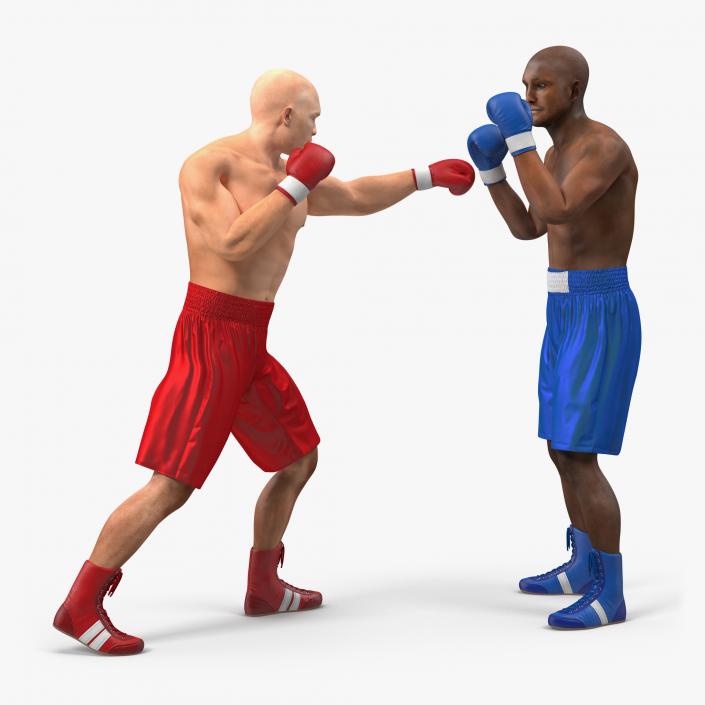 3D Two Boxers Fighting 2