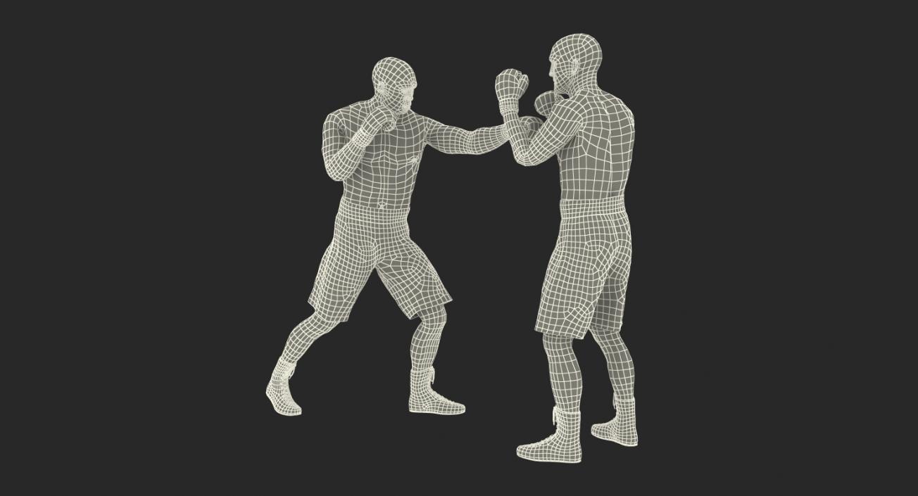 3D Two Boxers Fighting 2