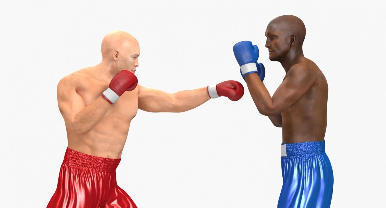 3D Two Boxers Fighting 2