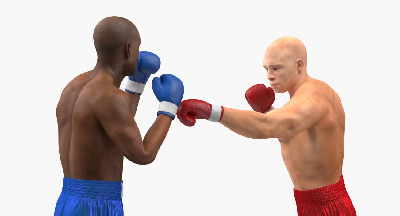 3D Two Boxers Fighting 2