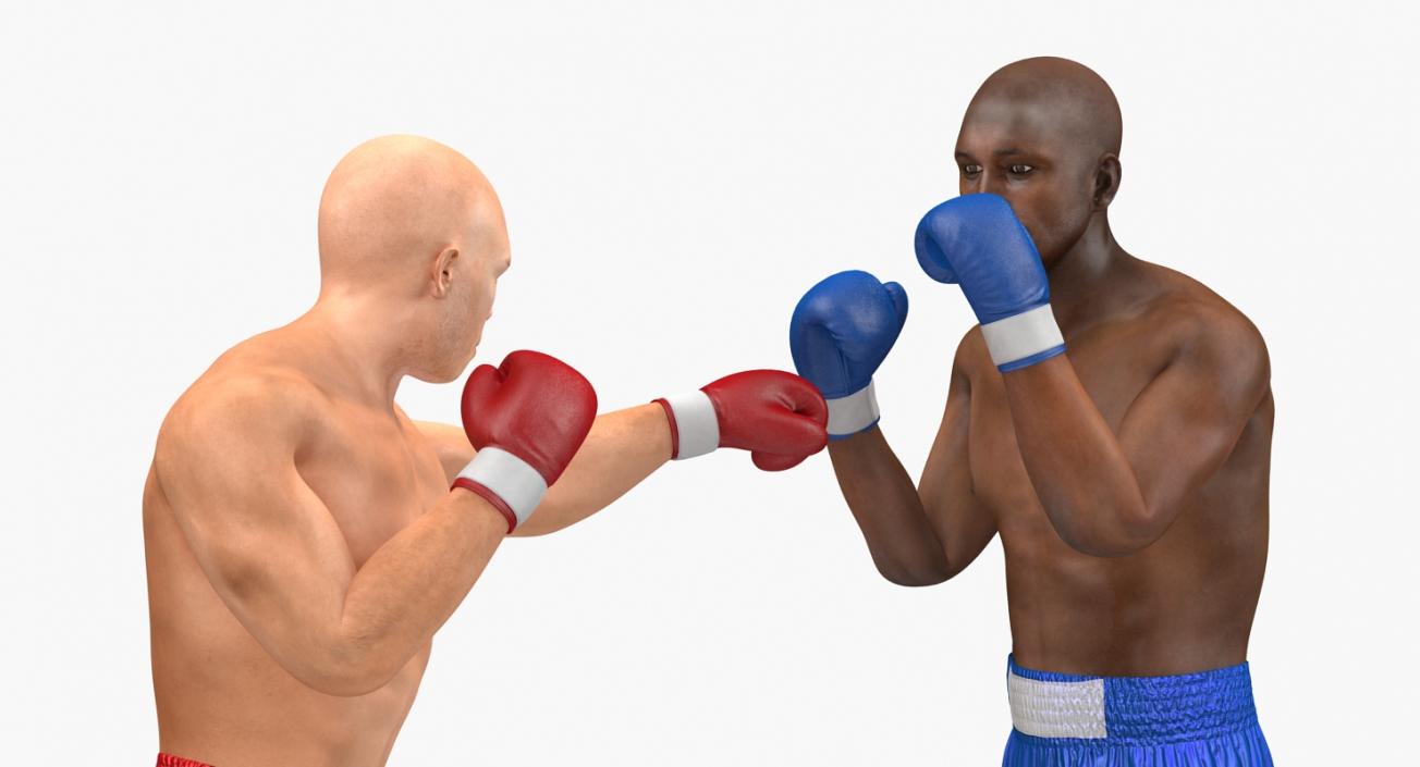 3D Two Boxers Fighting 2