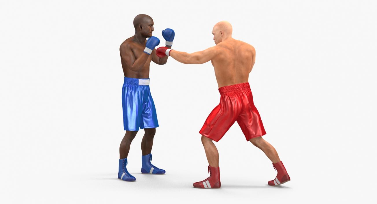 3D Two Boxers Fighting 2