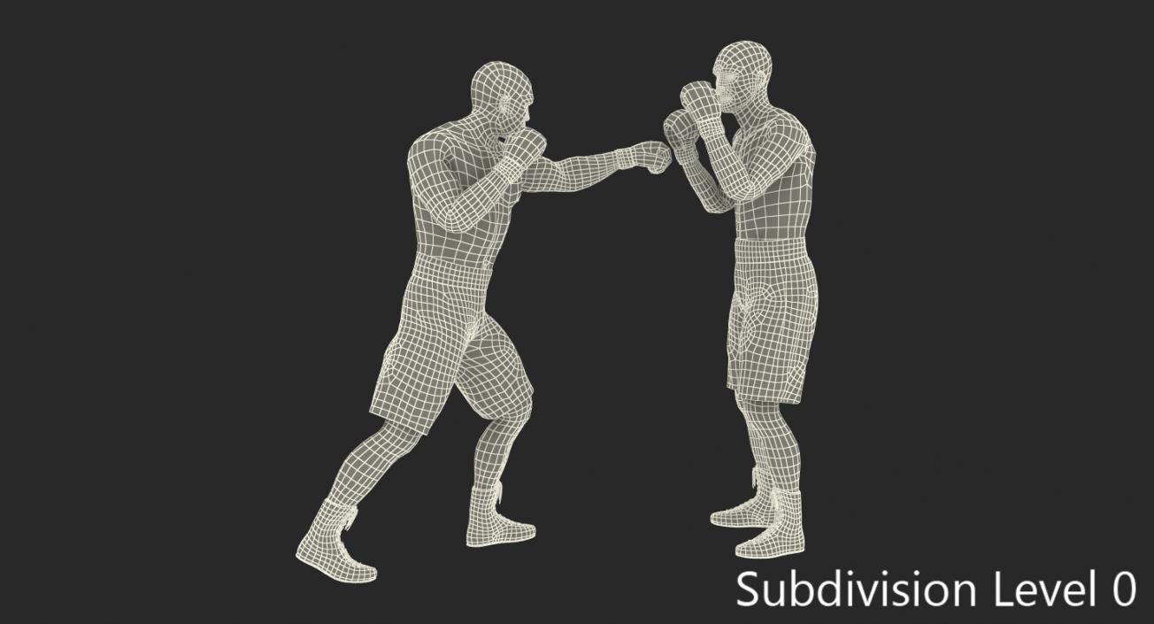 3D Two Boxers Fighting 2