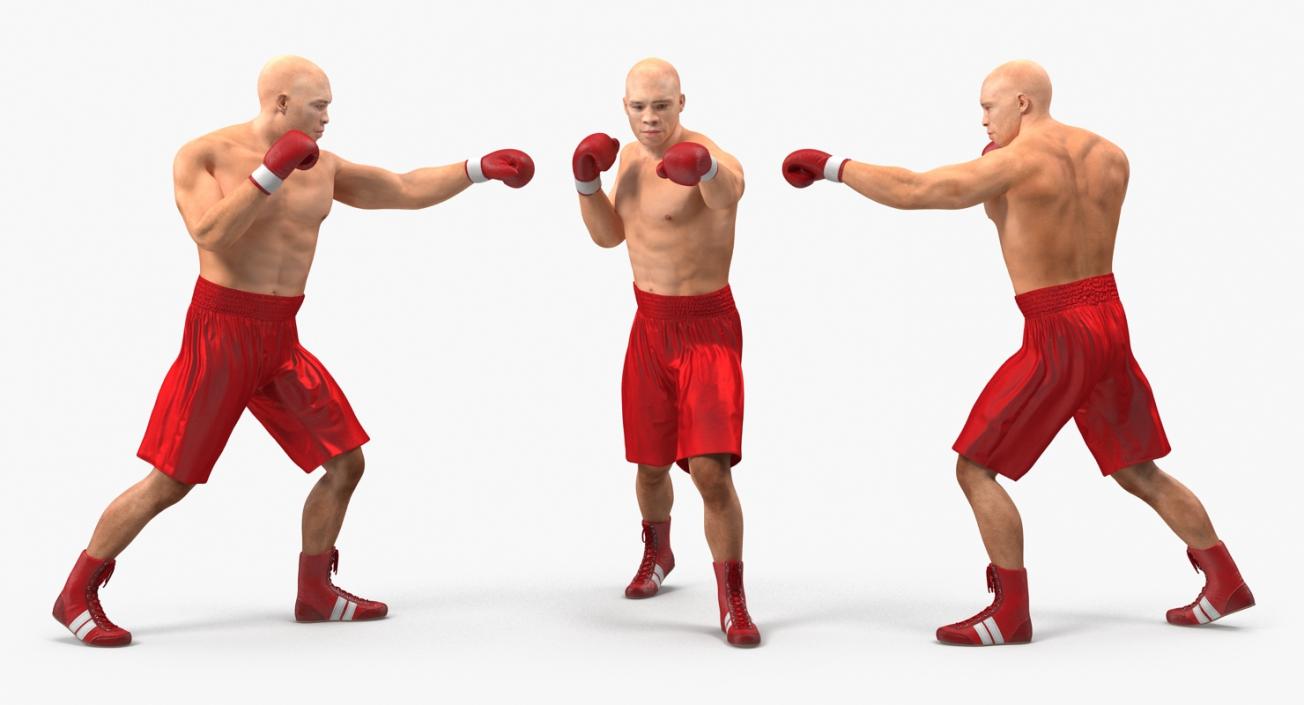 3D Two Boxers Fighting 2