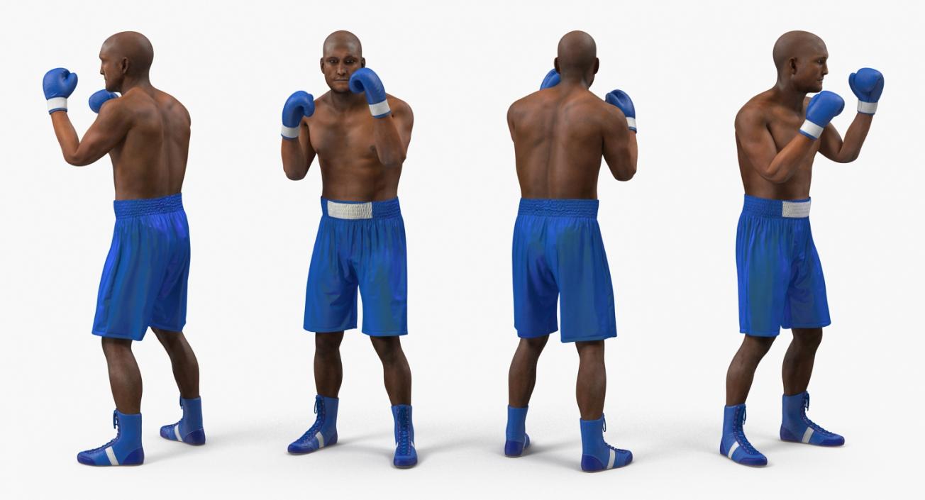 3D Two Boxers Fighting 2