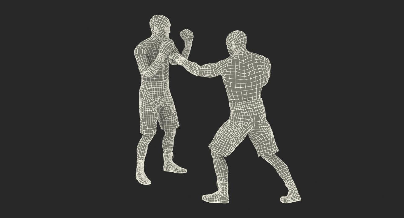 3D Two Boxers Fighting 2