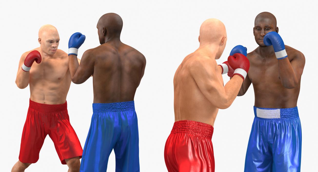 3D Two Boxers Fighting 2