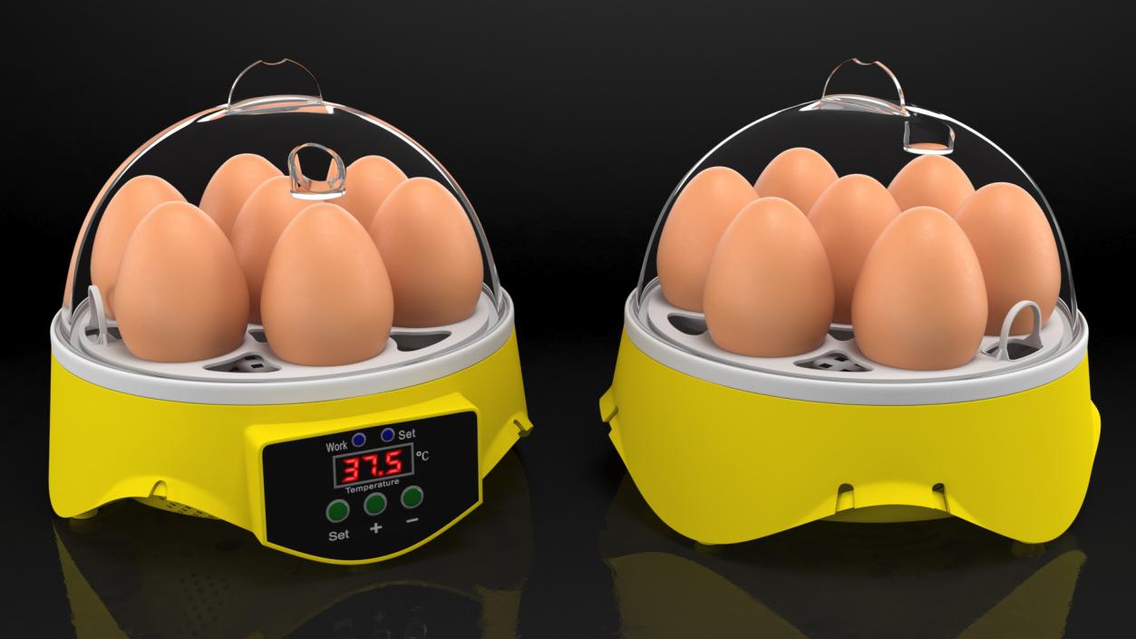 Incubator With Eggs 3D model