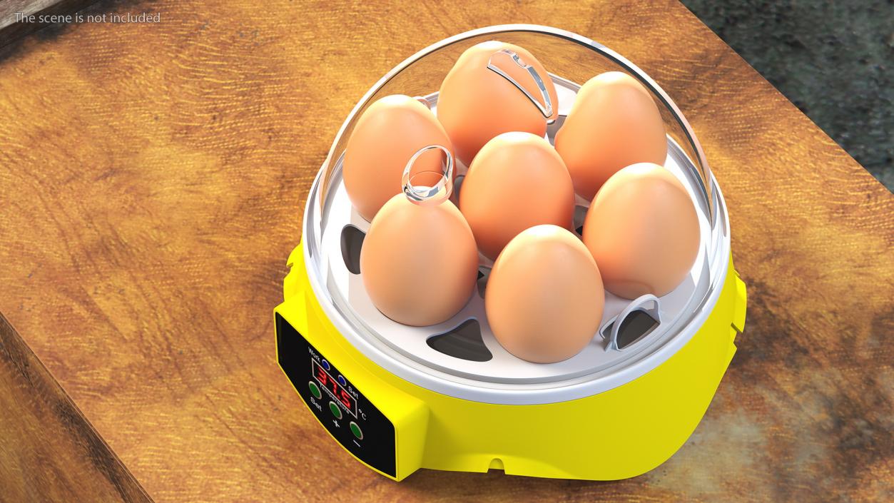 Incubator With Eggs 3D model