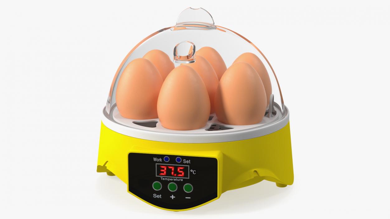 Incubator With Eggs 3D model