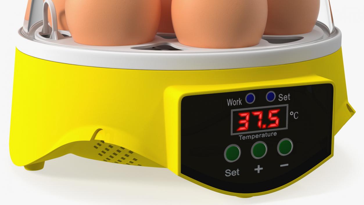 Incubator With Eggs 3D model