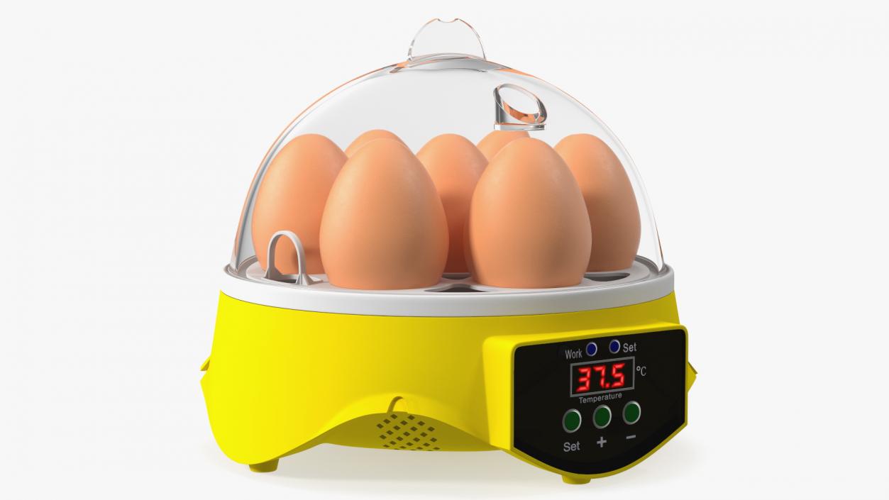 Incubator With Eggs 3D model