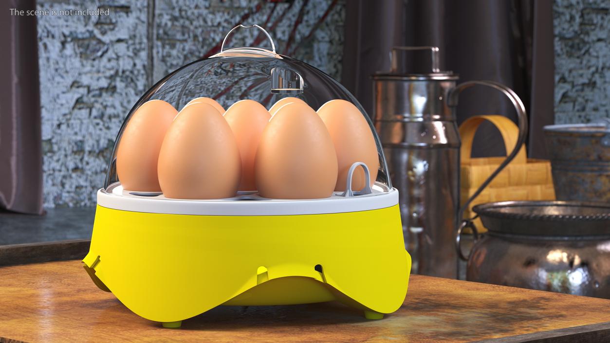 Incubator With Eggs 3D model