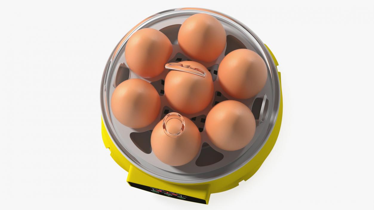 Incubator With Eggs 3D model