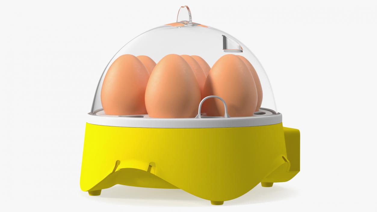 Incubator With Eggs 3D model