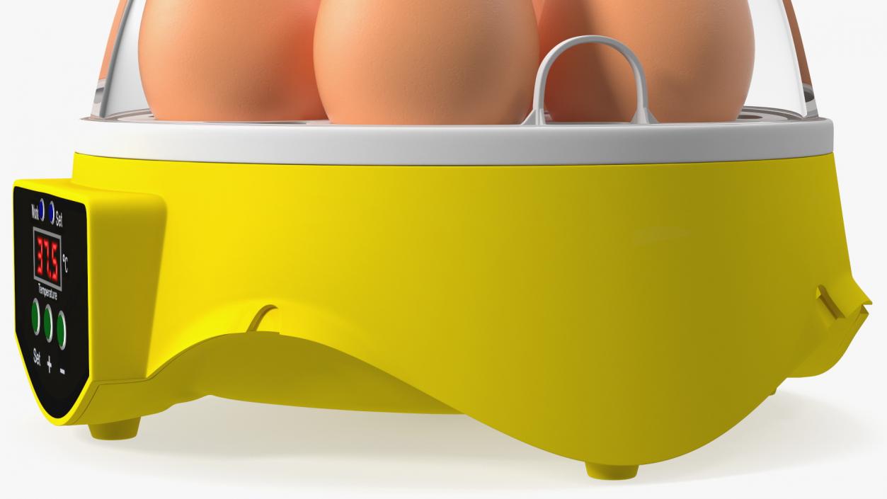 Incubator With Eggs 3D model