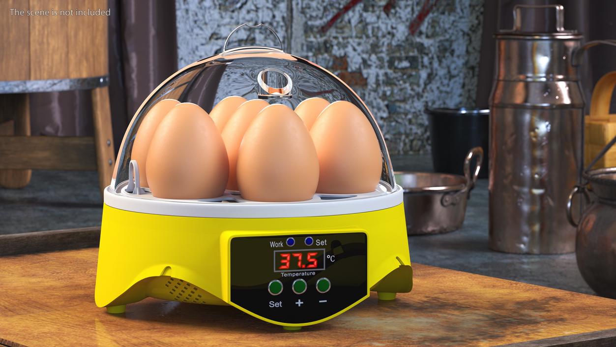 Incubator With Eggs 3D model