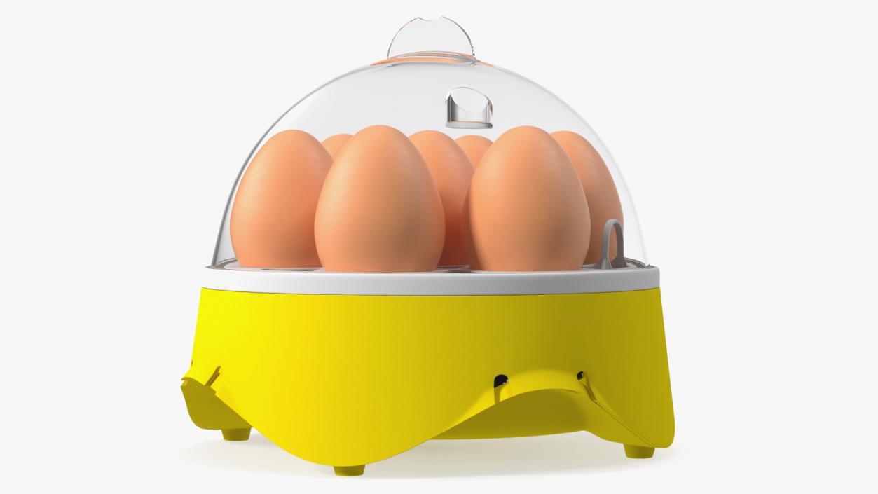 Incubator With Eggs 3D model