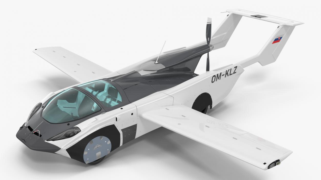 3D model AirCar Fly