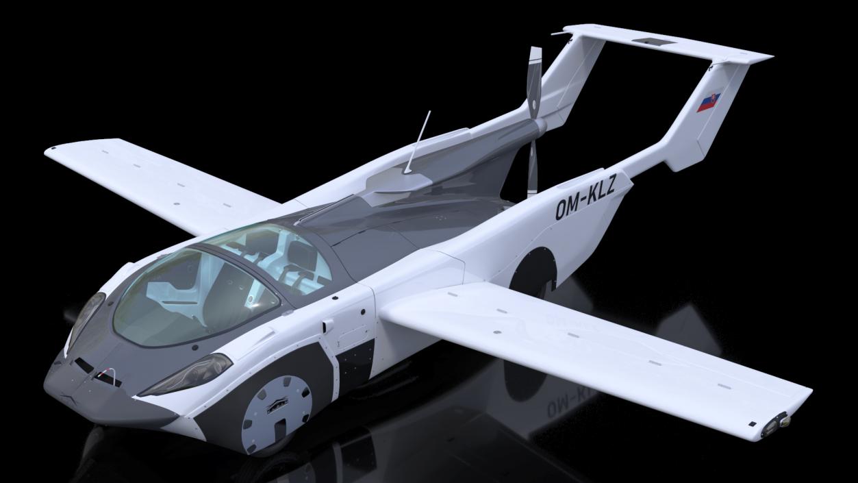 3D model AirCar Fly