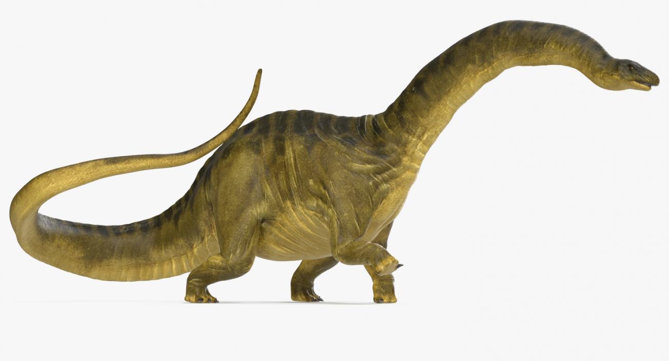 3D Apatosaurus Dinosaur Walking Pose model