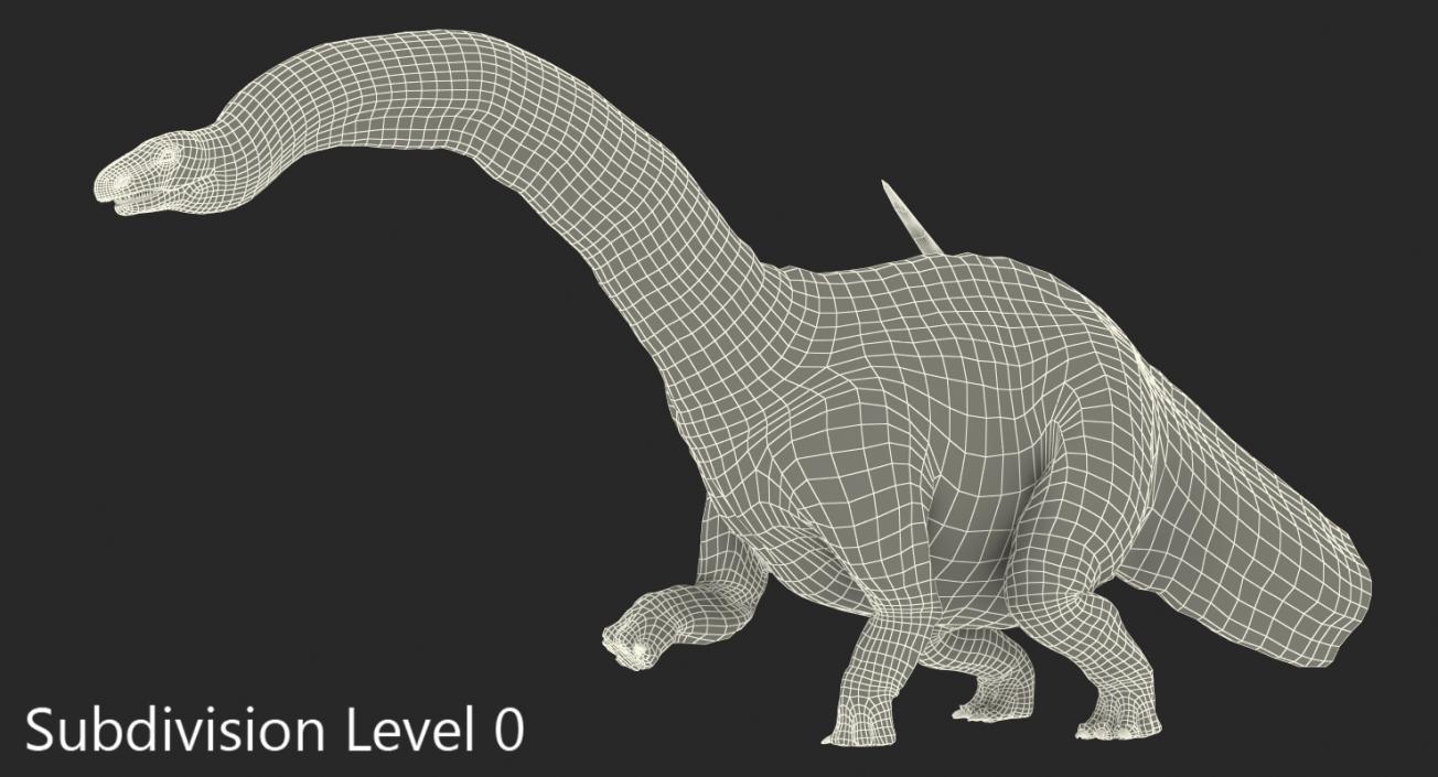 3D Apatosaurus Dinosaur Walking Pose model