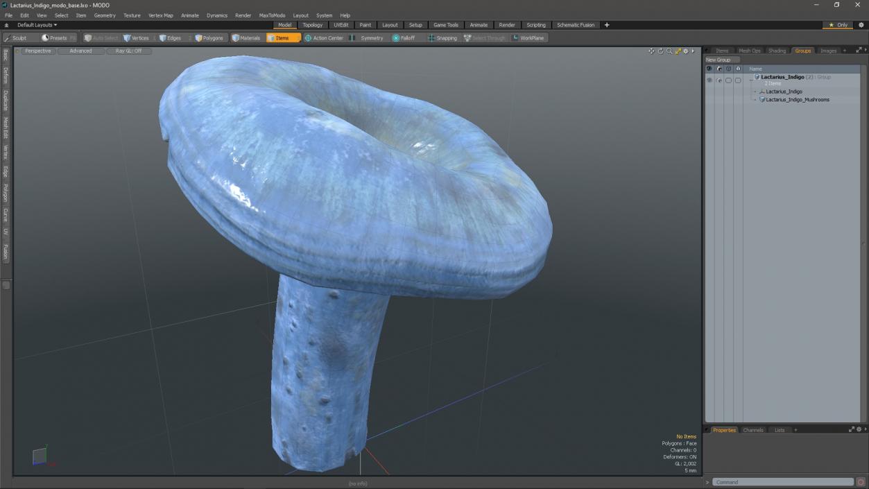 3D Lactarius Indigo 2 model