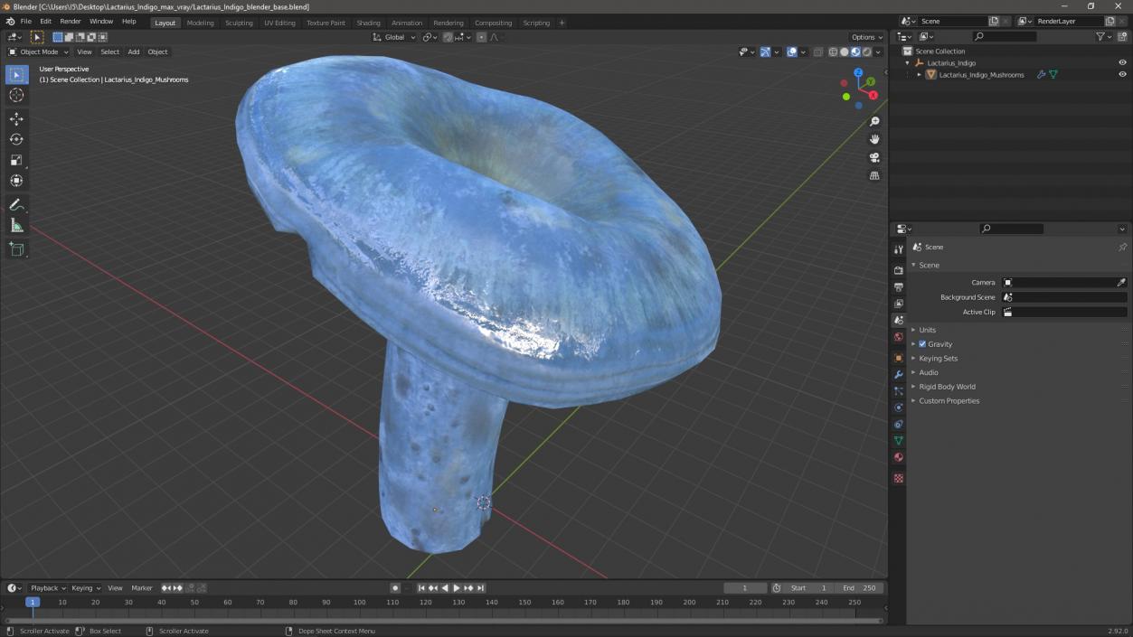 3D Lactarius Indigo 2 model