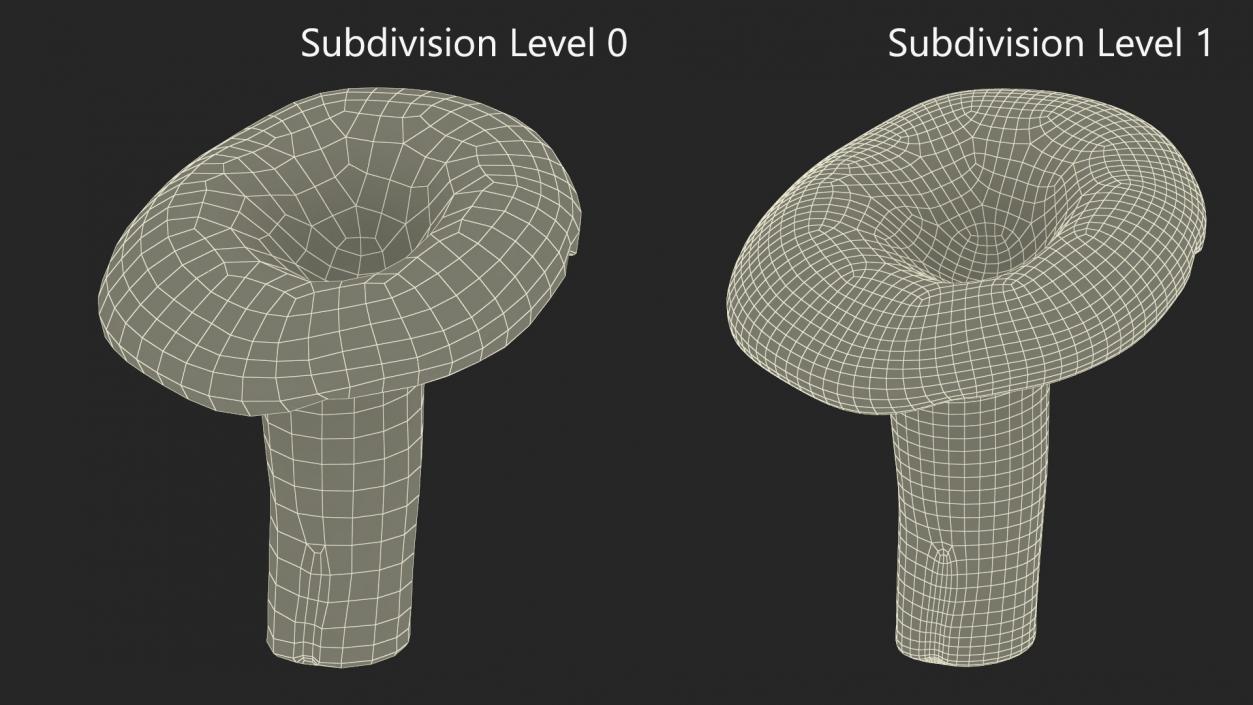 3D Lactarius Indigo 2 model