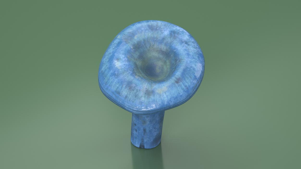 3D Lactarius Indigo 2 model