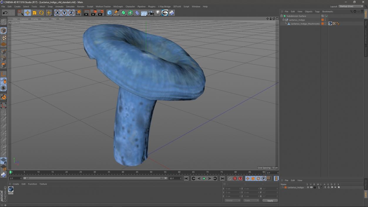 3D Lactarius Indigo 2 model