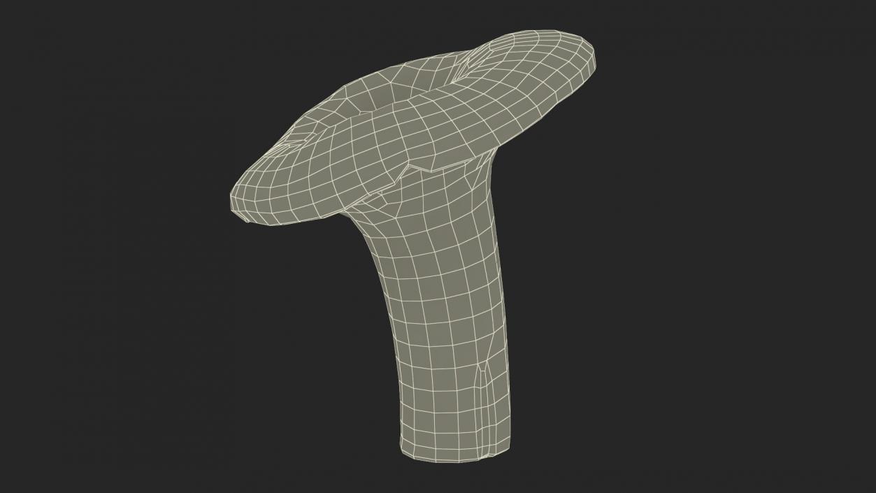 3D Lactarius Indigo 2 model