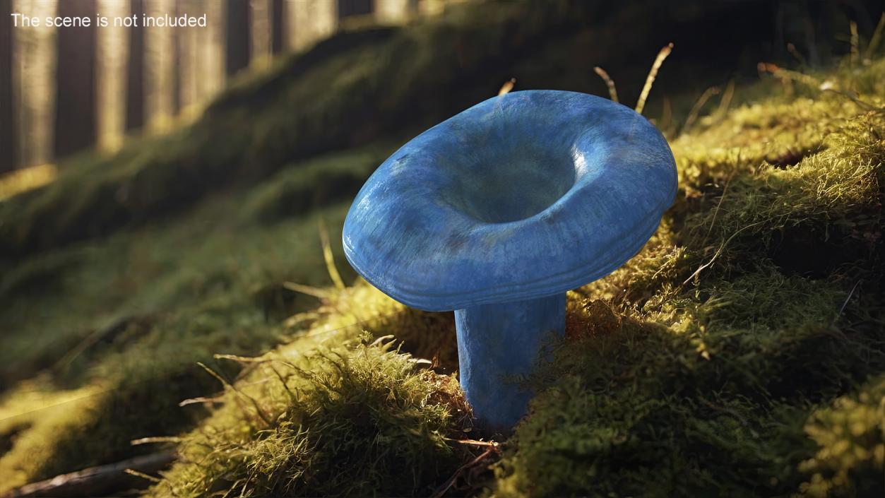 3D Lactarius Indigo 2 model