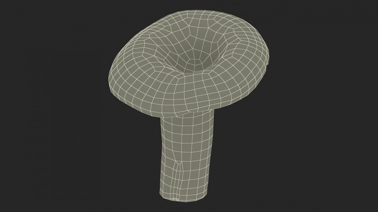 3D Lactarius Indigo 2 model